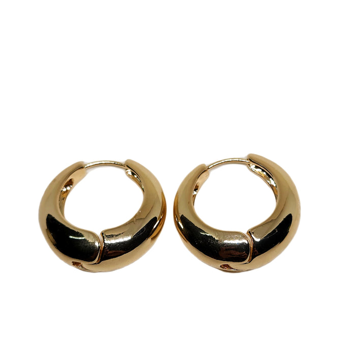 Earring 10 (Copy) (Copy)