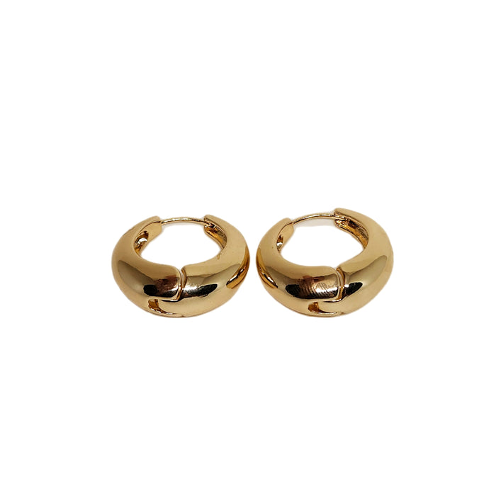 Earring 10 (Copy) (Copy)